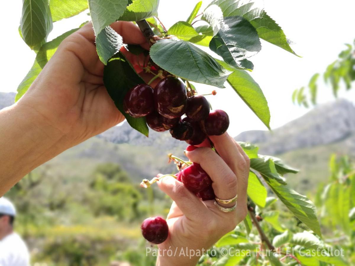 الشقق الفندقية Patróفي  Buhardilla Rustica En La Vall De Gallinera المظهر الخارجي الصورة