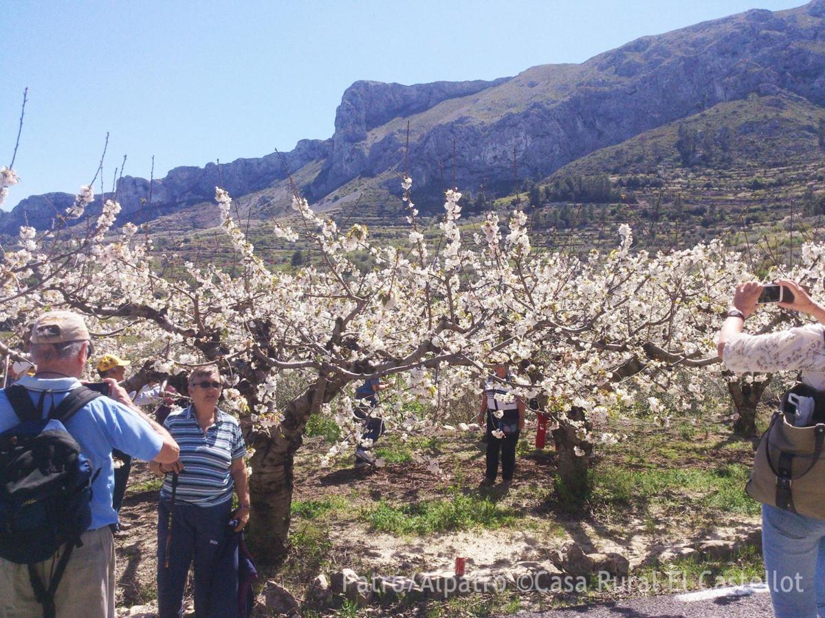 الشقق الفندقية Patróفي  Buhardilla Rustica En La Vall De Gallinera المظهر الخارجي الصورة
